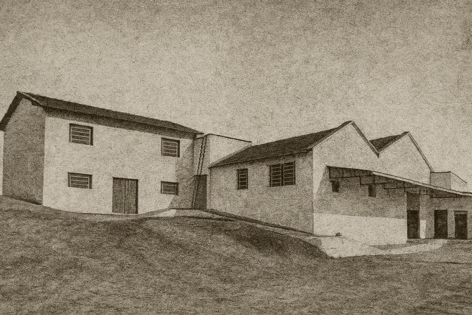 Início da plantação em 1915